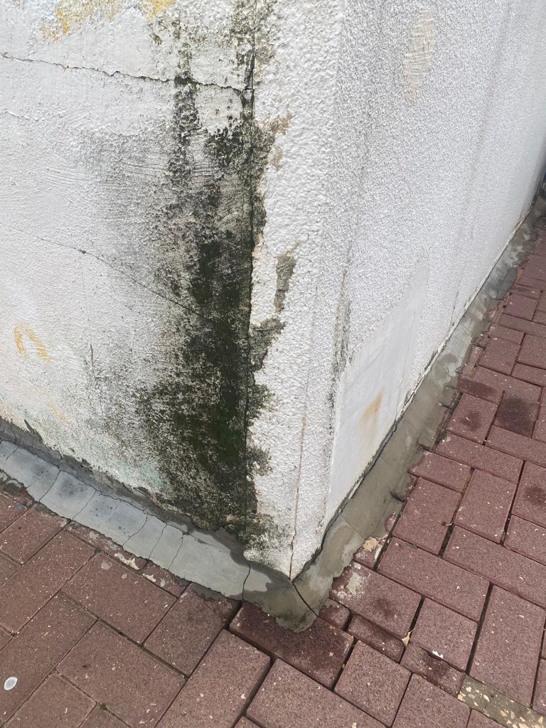 WhatsApp Image 2023-11-20 at 11.45.46.jpeg